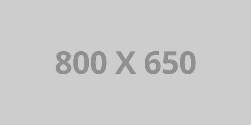 pofo 800×650-ph